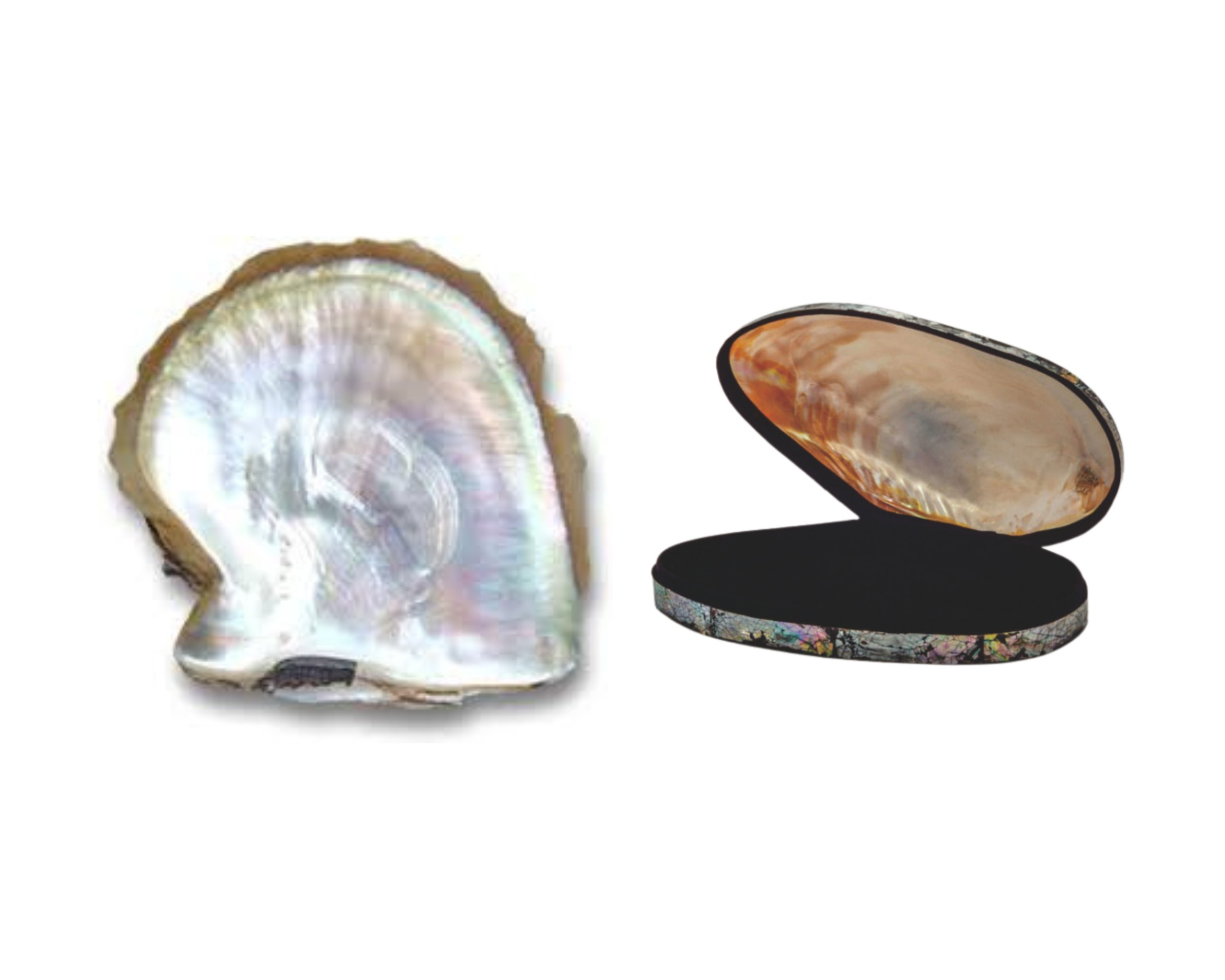 Sabila Multi Kreasindo